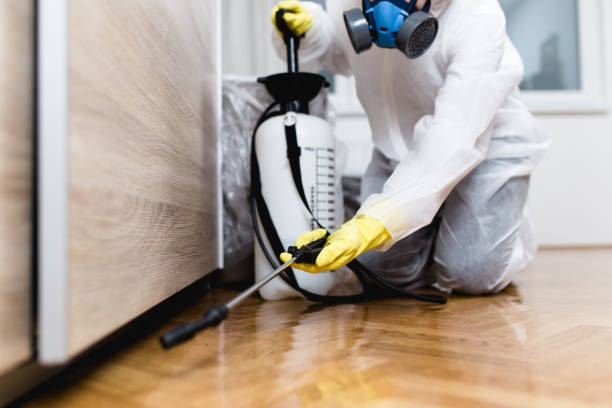Reliable Cannon Beach, OR Pest Control Solutions