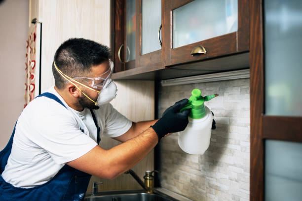 Best Affordable Pest Control Services  in Cannon Beach, OR