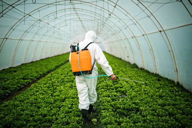 Best Pest Removal Services  in Cannon Beach, OR