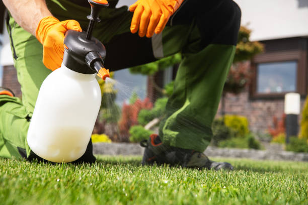 Best Residential Pest Control  in Cannon Beach, OR