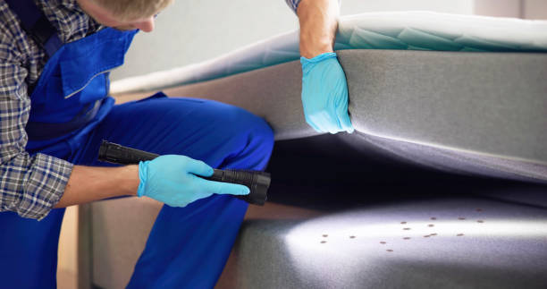Best Best Pest Control Companies  in Cannon Beach, OR